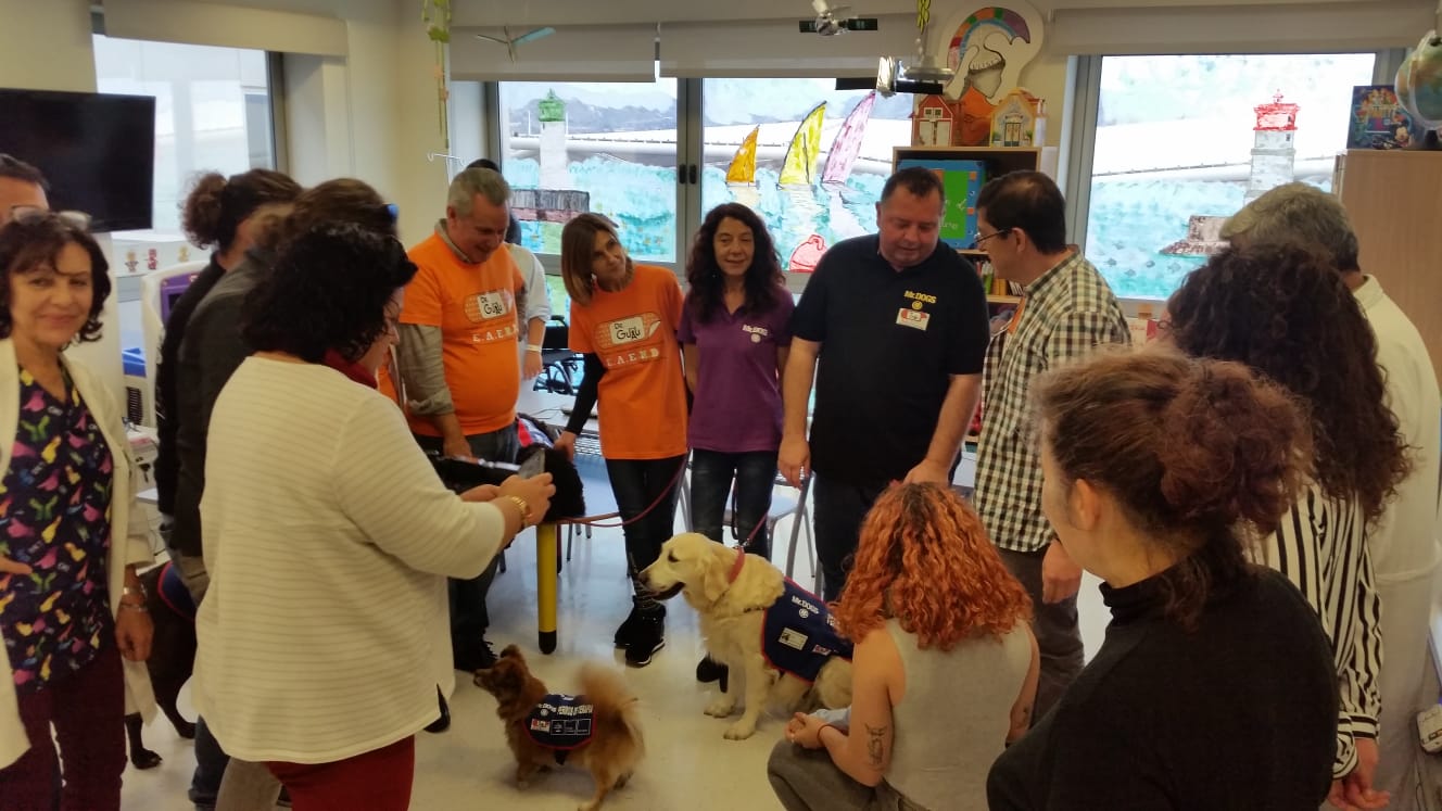 Proyecto Dr.Guau Mr.Dogs Terapia con perros Hospital Santa Lucia
